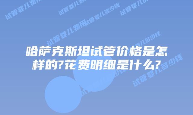 哈萨克斯坦试管价格是怎样的?花费明细是什么?