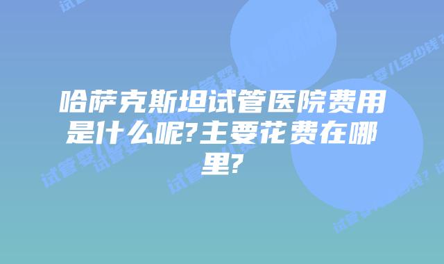 哈萨克斯坦试管医院费用是什么呢?主要花费在哪里?