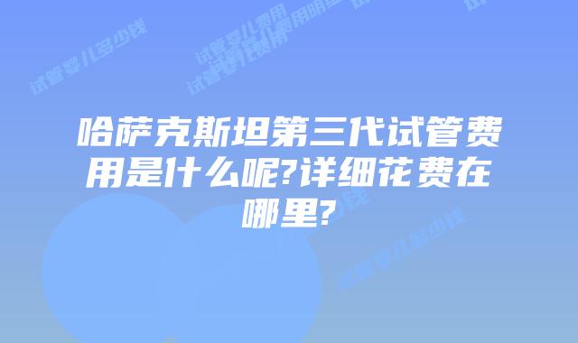 哈萨克斯坦第三代试管费用是什么呢?详细花费在哪里?