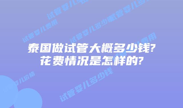泰国做试管大概多少钱?花费情况是怎样的?