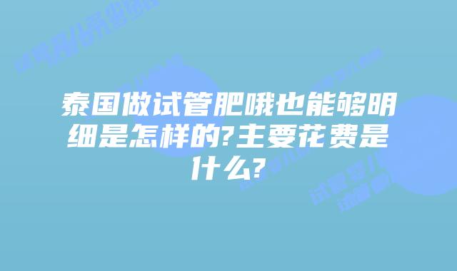 泰国做试管肥哦也能够明细是怎样的?主要花费是什么?