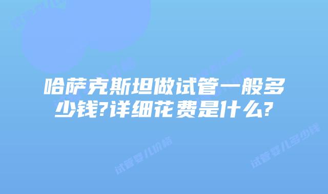 哈萨克斯坦做试管一般多少钱?详细花费是什么?
