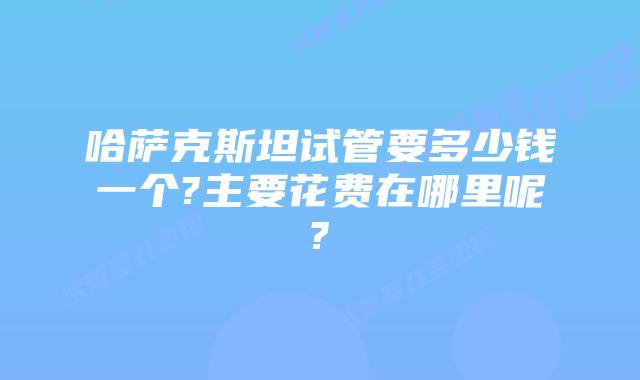 哈萨克斯坦试管要多少钱一个?主要花费在哪里呢?
