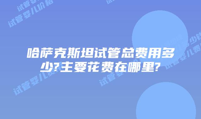 哈萨克斯坦试管总费用多少?主要花费在哪里?