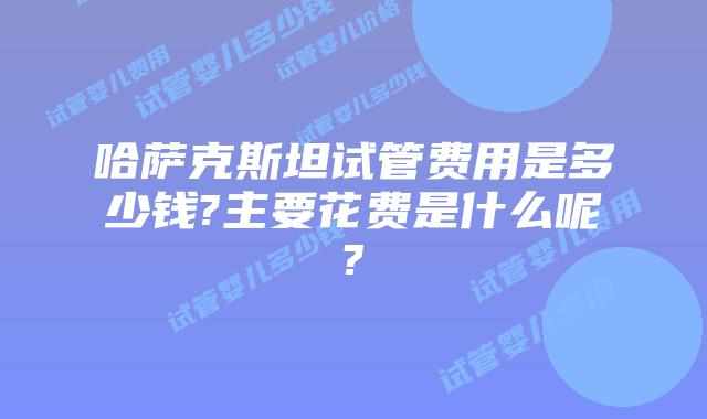 哈萨克斯坦试管费用是多少钱?主要花费是什么呢?