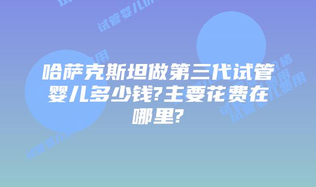 哈萨克斯坦做第三代试管婴儿多少钱?主要花费在哪里?