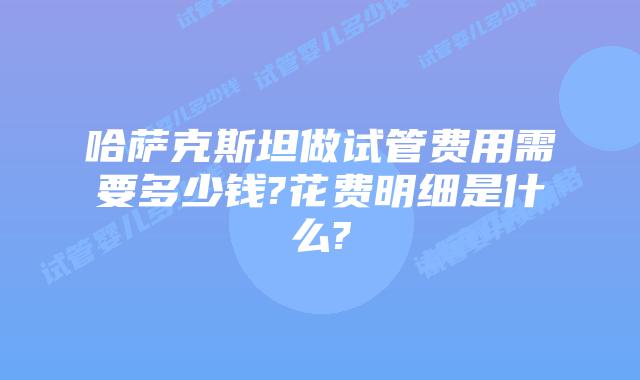 哈萨克斯坦做试管费用需要多少钱?花费明细是什么?