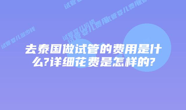 去泰国做试管的费用是什么?详细花费是怎样的?