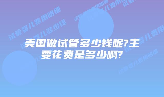 美国做试管多少钱呢?主要花费是多少啊?