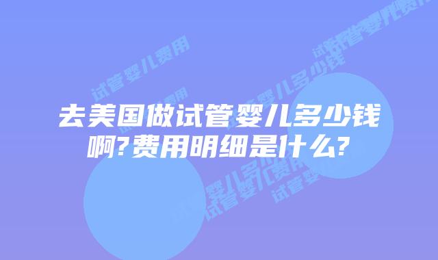 去美国做试管婴儿多少钱啊?费用明细是什么?