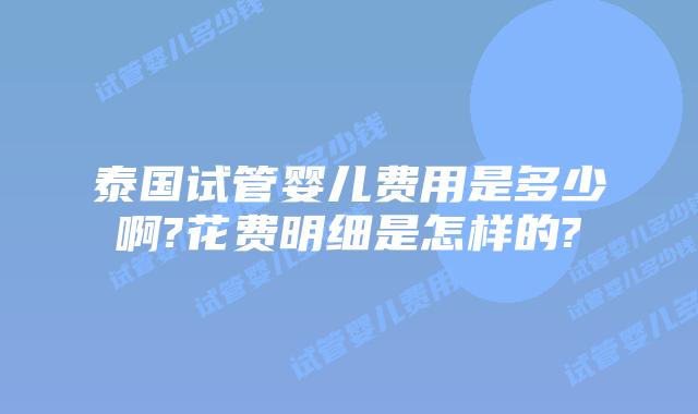泰国试管婴儿费用是多少啊?花费明细是怎样的?