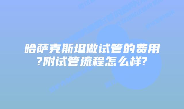 哈萨克斯坦做试管的费用?附试管流程怎么样?