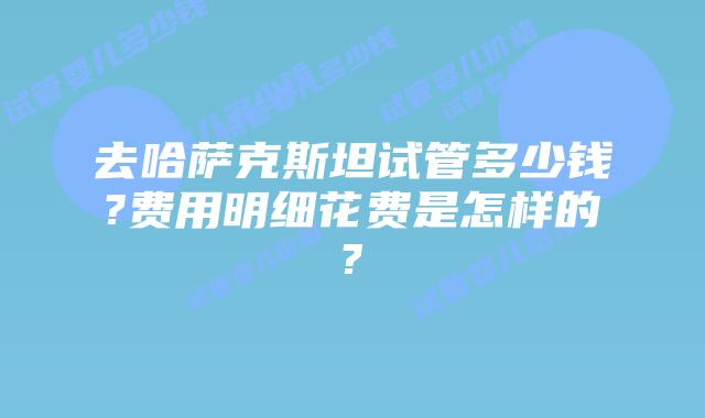 去哈萨克斯坦试管多少钱?费用明细花费是怎样的?