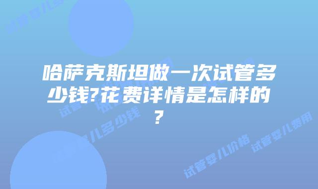 哈萨克斯坦做一次试管多少钱?花费详情是怎样的?