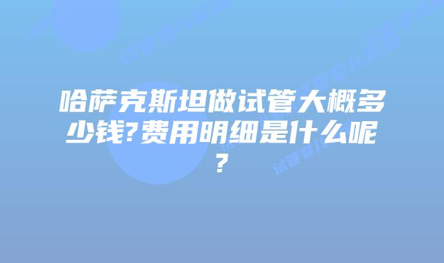 哈萨克斯坦做试管大概多少钱?费用明细是什么呢?