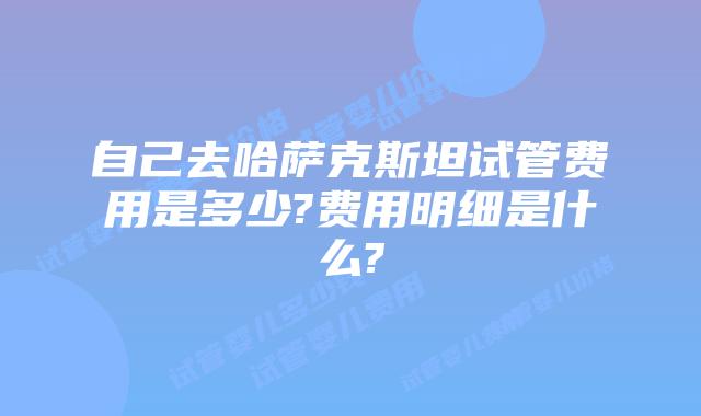 自己去哈萨克斯坦试管费用是多少?费用明细是什么?