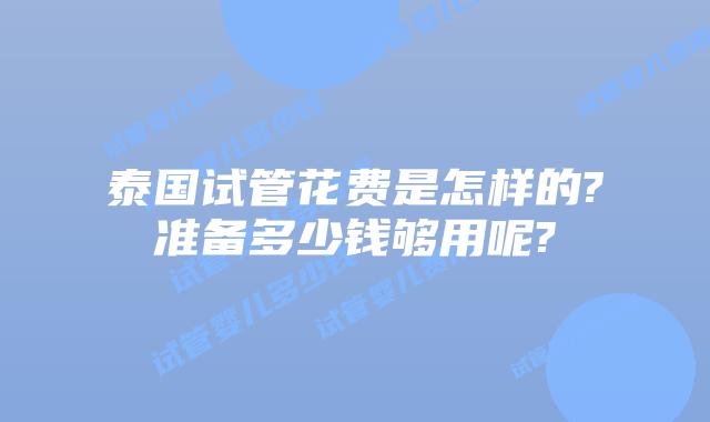 泰国试管花费是怎样的?准备多少钱够用呢?