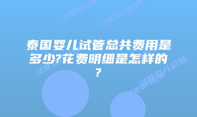 泰国婴儿试管总共费用是多少?花费明细是怎样的?