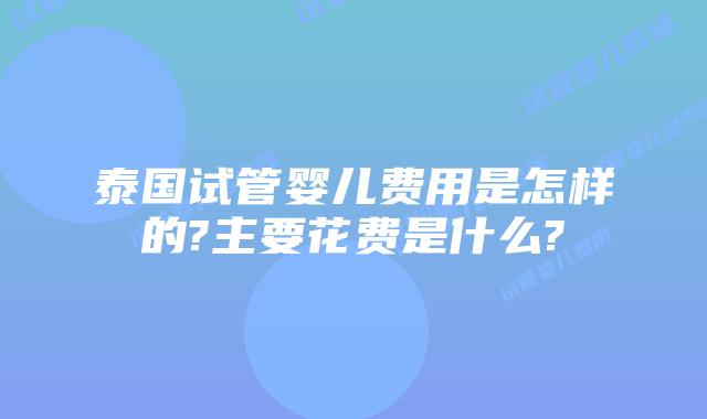 泰国试管婴儿费用是怎样的?主要花费是什么?