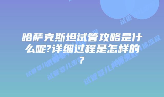 哈萨克斯坦试管攻略是什么呢?详细过程是怎样的?