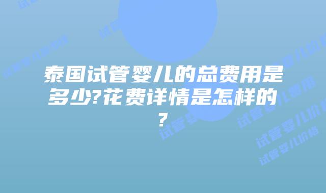 泰国试管婴儿的总费用是多少?花费详情是怎样的?