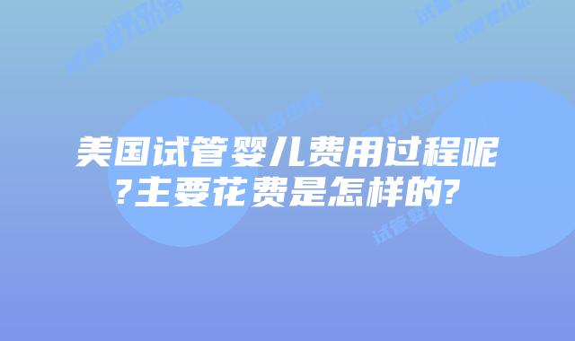 美国试管婴儿费用过程呢?主要花费是怎样的?