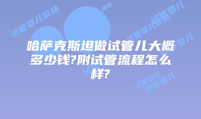 哈萨克斯坦做试管儿大概多少钱?附试管流程怎么样?
