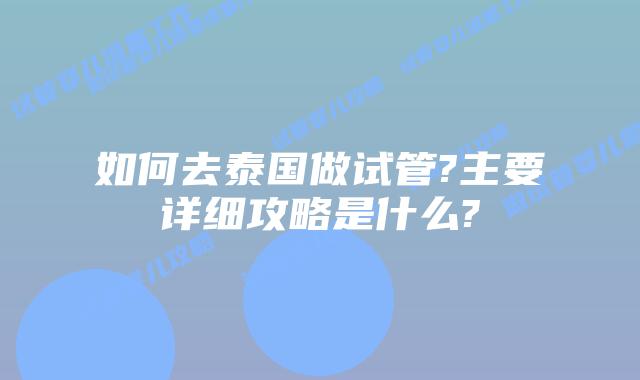 如何去泰国做试管?主要详细攻略是什么?