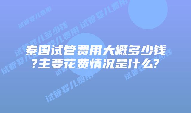 泰国试管费用大概多少钱?主要花费情况是什么?