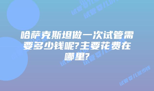 哈萨克斯坦做一次试管需要多少钱呢?主要花费在哪里?