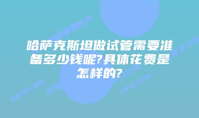 哈萨克斯坦做试管需要准备多少钱呢?具体花费是怎样的?