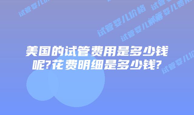 美国的试管费用是多少钱呢?花费明细是多少钱?