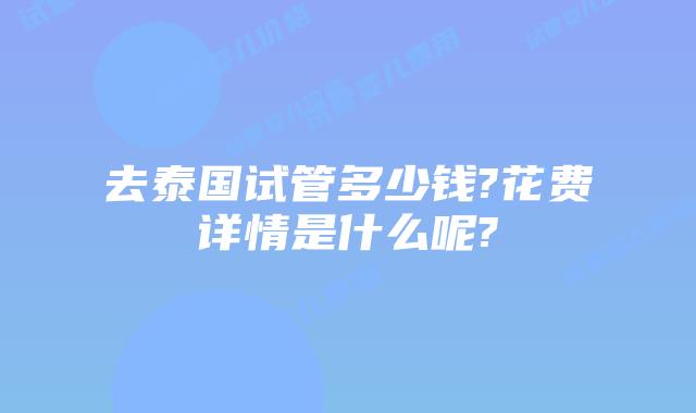 去泰国试管多少钱?花费详情是什么呢?