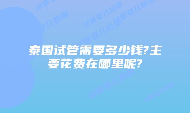 泰国试管需要多少钱?主要花费在哪里呢?