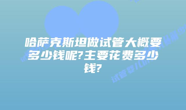 哈萨克斯坦做试管大概要多少钱呢?主要花费多少钱?