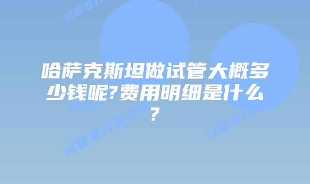 哈萨克斯坦做试管大概多少钱呢?费用明细是什么?