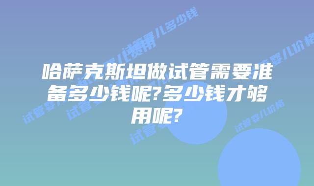 哈萨克斯坦做试管需要准备多少钱呢?多少钱才够用呢?