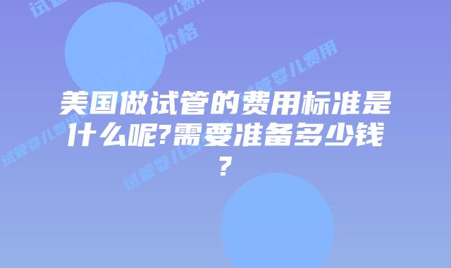 美国做试管的费用标准是什么呢?需要准备多少钱?