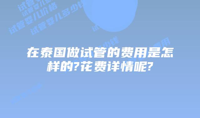 在泰国做试管的费用是怎样的?花费详情呢?