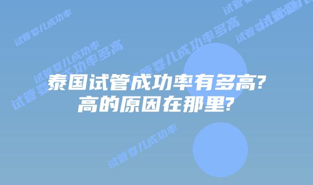 泰国试管成功率有多高?高的原因在那里?