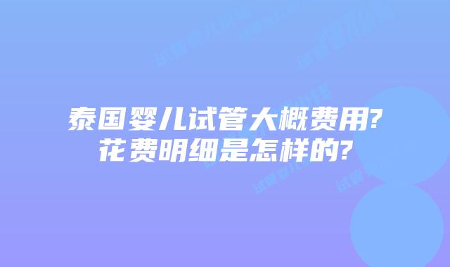 泰国婴儿试管大概费用?花费明细是怎样的?