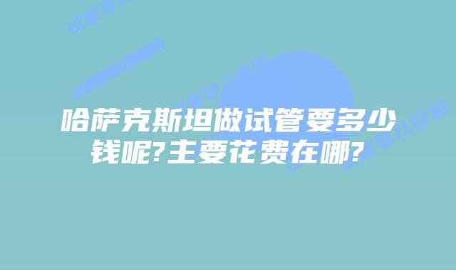 哈萨克斯坦做试管要多少钱呢?主要花费在哪?