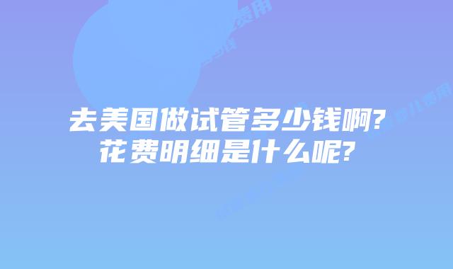 去美国做试管多少钱啊?花费明细是什么呢?
