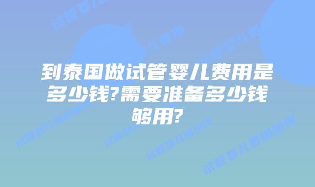 到泰国做试管婴儿费用是多少钱?需要准备多少钱够用?