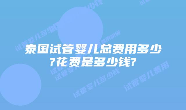 泰国试管婴儿总费用多少?花费是多少钱?