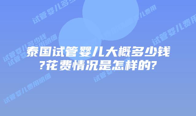 泰国试管婴儿大概多少钱?花费情况是怎样的?