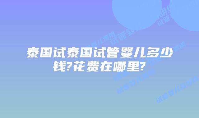泰国试泰国试管婴儿多少钱?花费在哪里?
