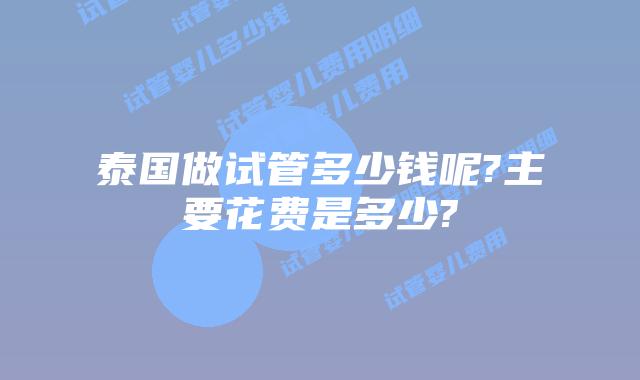 泰国做试管多少钱呢?主要花费是多少?