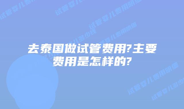 去泰国做试管费用?主要费用是怎样的?