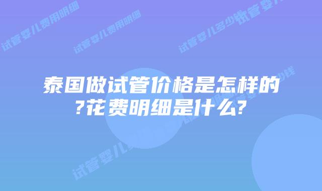 泰国做试管价格是怎样的?花费明细是什么?